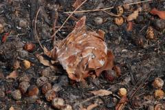 IMG_7186-1024x682