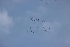 IMG_7204-1024x682