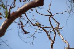 IMG_7234-1024x682