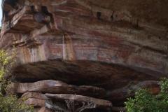 IMG_7247-1024x682