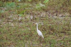 IMG_7320-1024x682