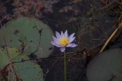 IMG_7328-1024x682