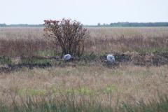 IMG_7359-1024x682