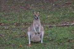 IMG_7370-1024x600