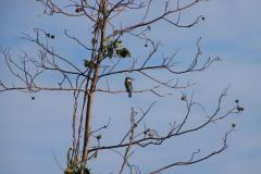 IMG_7438-1024x682