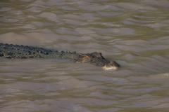 IMG_7479-1024x682