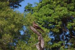 IMG_7491-1024x682