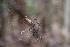 IMG_7608-1024x682