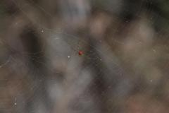IMG_7615-1024x682