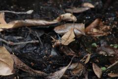 IMG_7649-1024x682