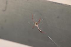 IMG_7730-1024x600