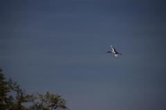 IMG_7749-1024x682