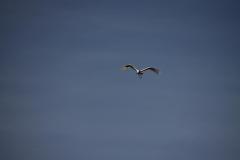 IMG_7757-1024x682