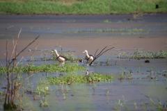 IMG_7967-1024x682