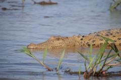 IMG_7989-1024x682