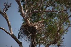 IMG_8048-1024x682