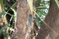 IMG_8100-1024x682