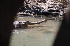 IMG_8140-1024x682