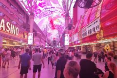 20230620_210354-scaled