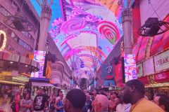 20230620_210512-scaled