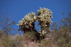 IMG_9171-scaled