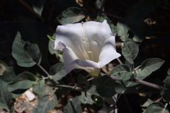 IMG_9236-scaled