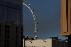 IMG_9975-scaled