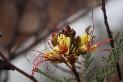 IMG_6539-scaled