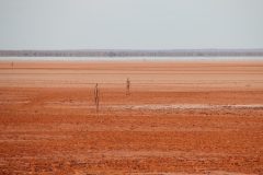 IMG_6803-scaled
