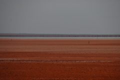 IMG_6806-scaled