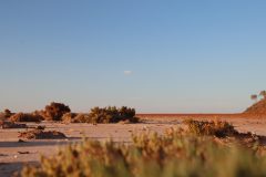 IMG_6807-scaled