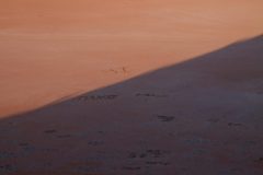 IMG_6824-scaled