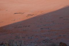IMG_6830-scaled