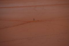 IMG_6848-scaled
