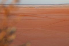 IMG_6878-scaled