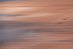 IMG_6880-scaled