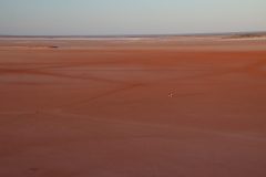 IMG_6900-scaled