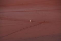 IMG_6932-scaled