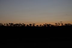 IMG_6972-scaled