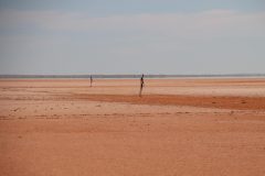 IMG_7042-scaled