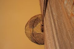 IMG_7275-scaled