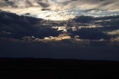 IMG_7525-scaled
