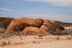 IMG_7655-scaled