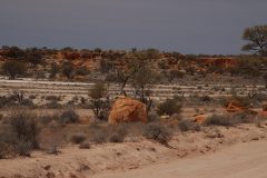 IMG_7661-scaled