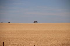 IMG_7792-scaled
