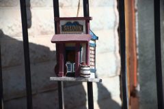 IMG_0008-scaled