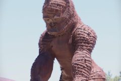 IMG_0138-scaled