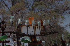 IMG_0181