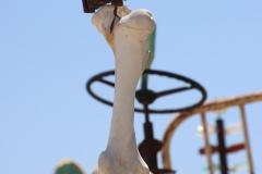 IMG_0188