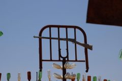 IMG_0220-scaled